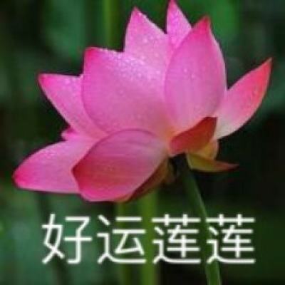 黑龙江省望奎县：亲子研学乐趣多 寓教于乐助成长